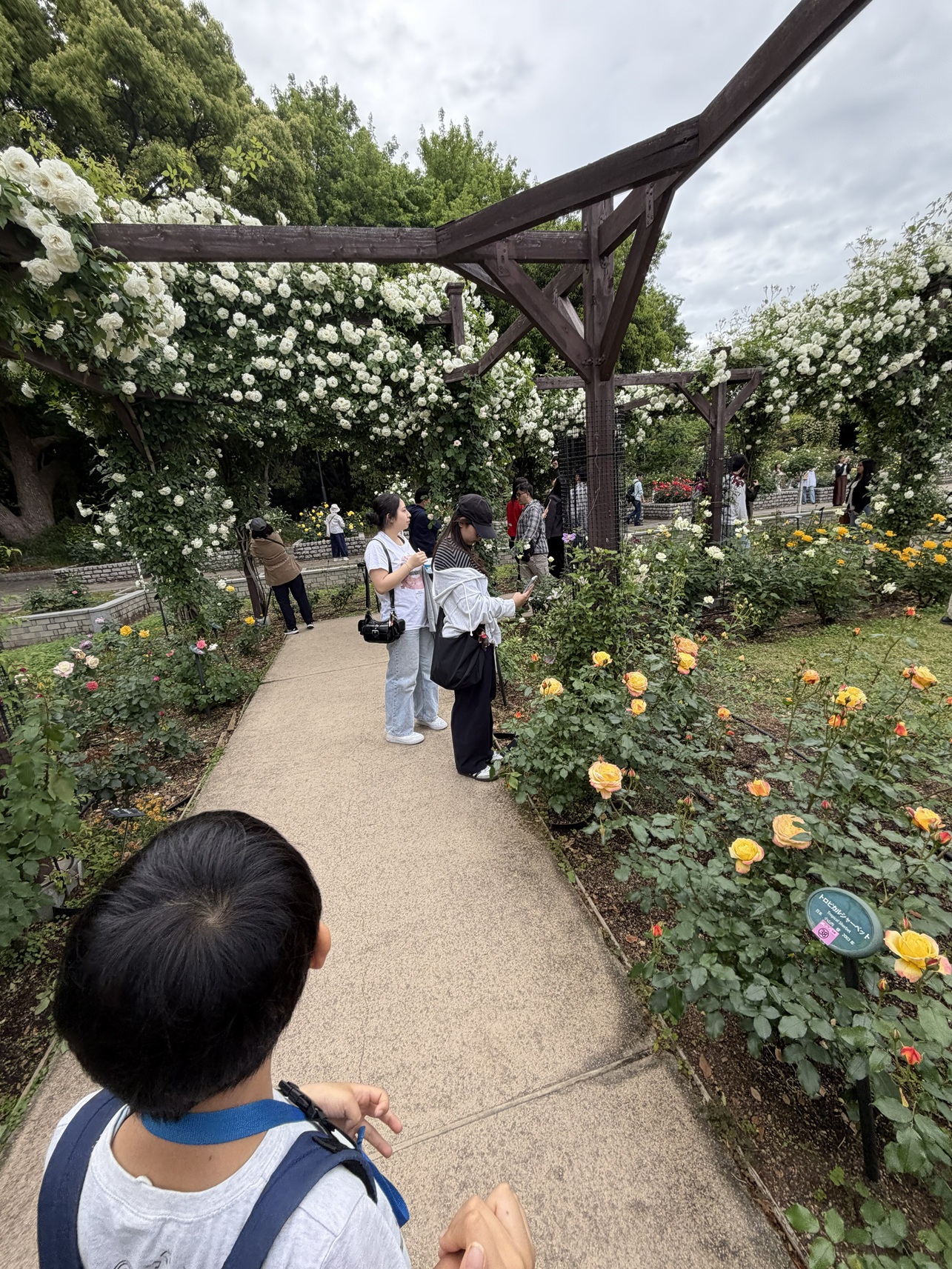 ✨4月、5月の祝日イベント✨